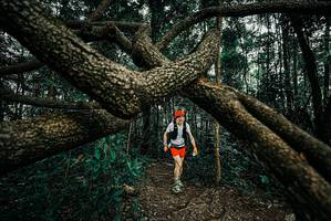 BIB: 
                            <button type="button" onclick="openModal(25665304)" class="btn btn-primary btn-sm float-right btn-popup" data-toggle="modal" data-target=".modal-high-quality">
                        <i class="fas fa-shopping-cart"></i> Add to Cart
                    </button>
                                            <button type="button" onclick="isThisMe(25665304, true)" class="btn btn-success btn-sm float-right btn-popup btn-isme hidden" data-toggle="tooltip" data-placement="bottom" title="นี่คือรูปของคุณใช่ไหม คลิกที่นี่เพื่อเอาเข้าอัลบั้ม">
                        <i class="fas fa-plus"></i> Add to album
                    </button>
                    <button type="button" onclick="isThisMe(25665304, false)" class="btn btn-warning btn-sm float-right btn-popup btn-isnotme hidden">
                        <i class="fas fa-ban"></i> Remove from album
                    </button>